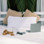 Daybed with laptop and sunglasses and tropical plant